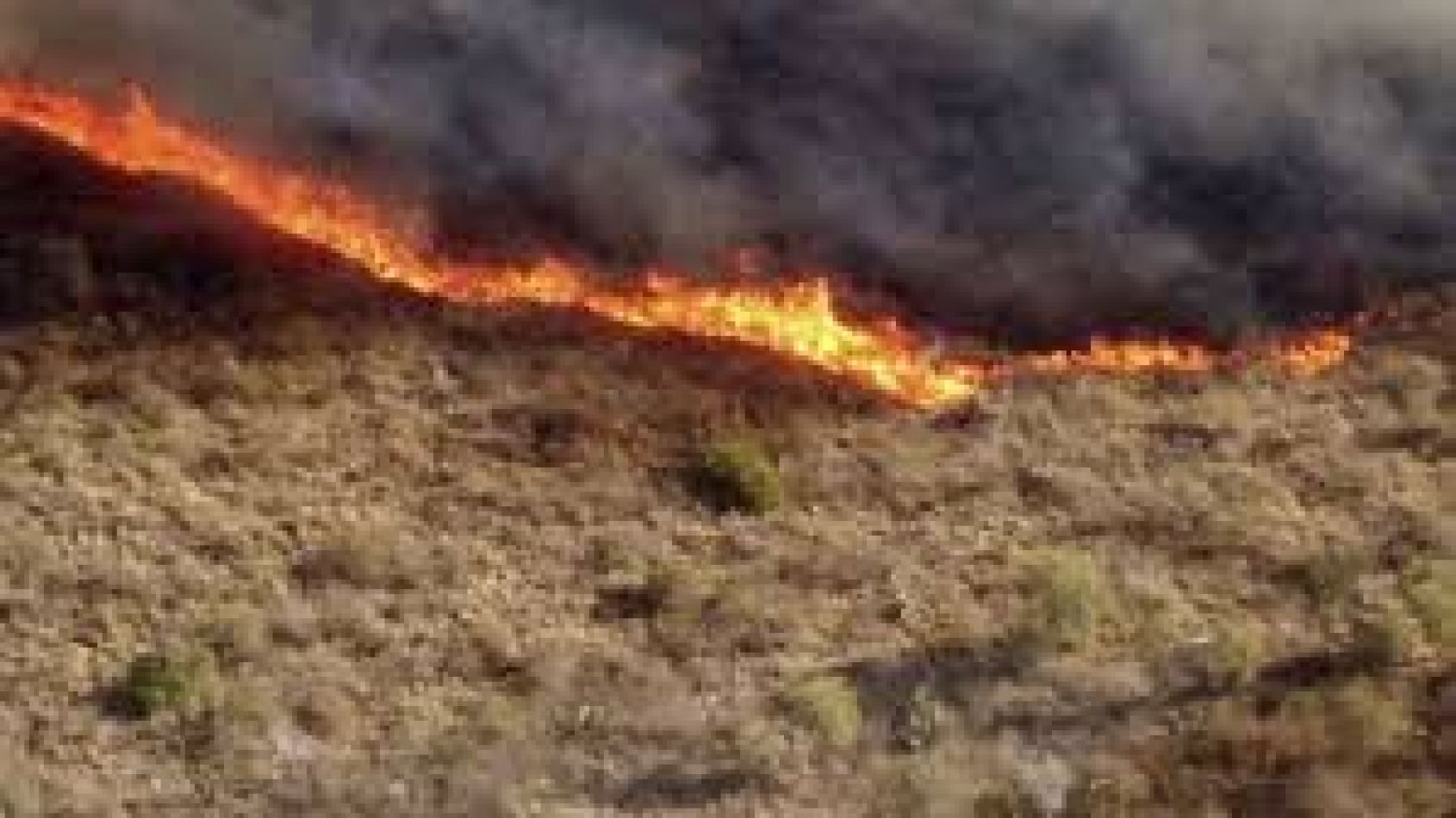 Incendios forestales