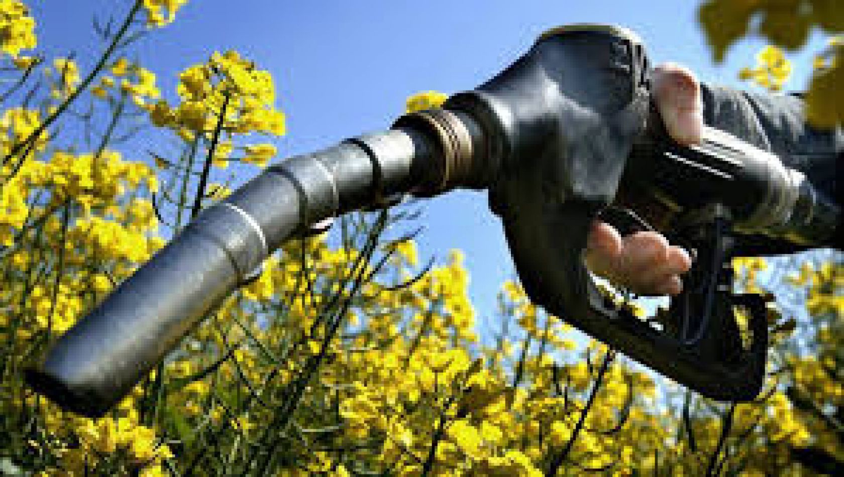 Pedido al Congreso por la nueva ley de Biocombustibles