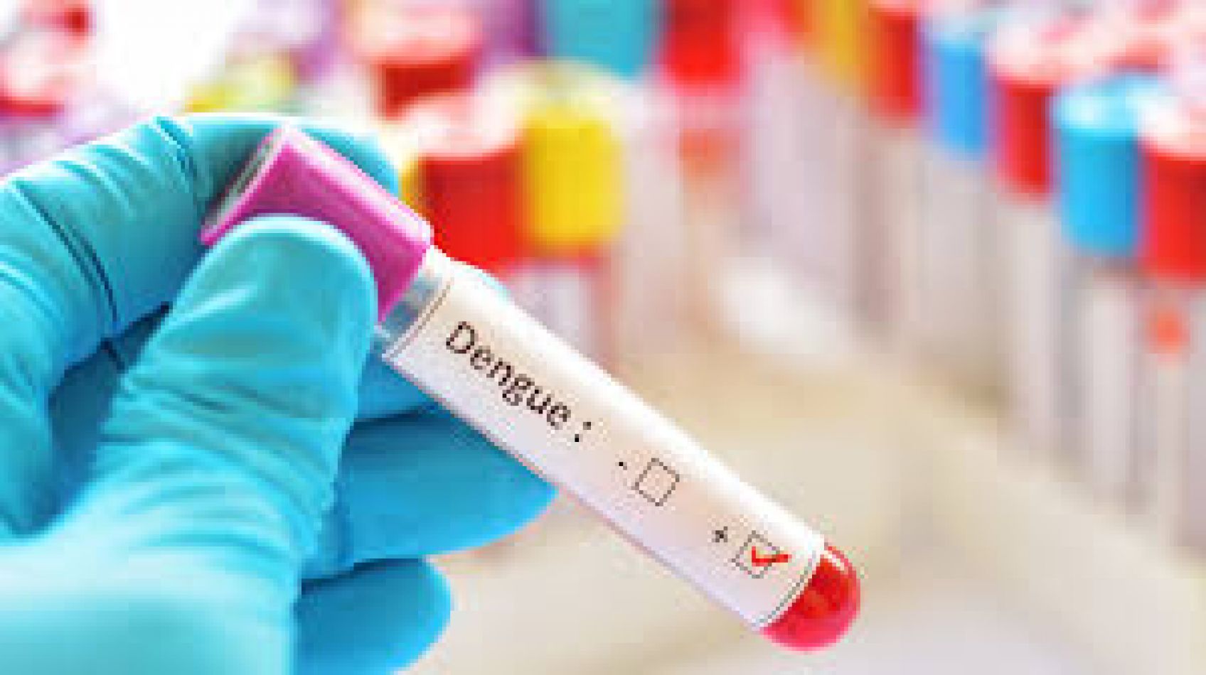 Lucha contra el dengue
