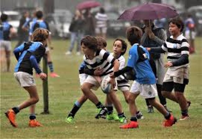 Programa de Rugby infantil