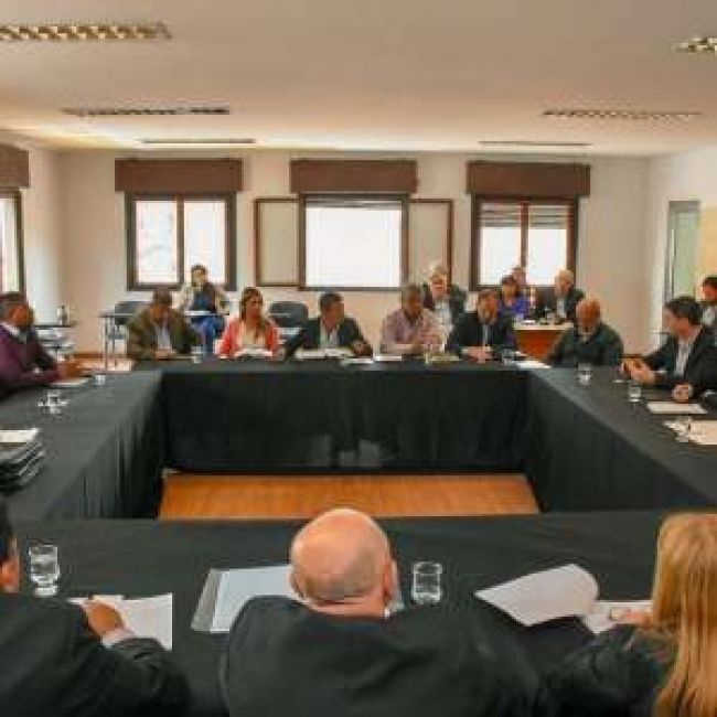 Senadores con la ministra Pinal de Cid