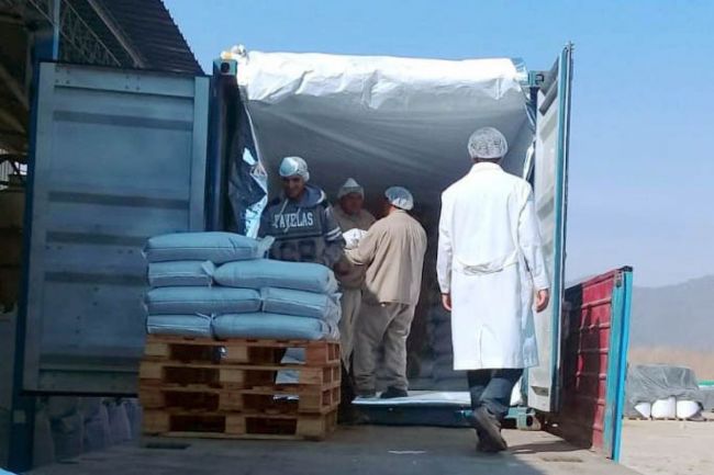 Exportación de chia