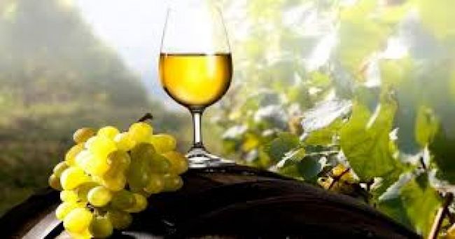 Semana del Torrontés