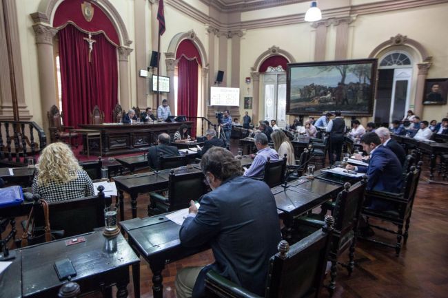 El proyecto pasó al Senado en revisión