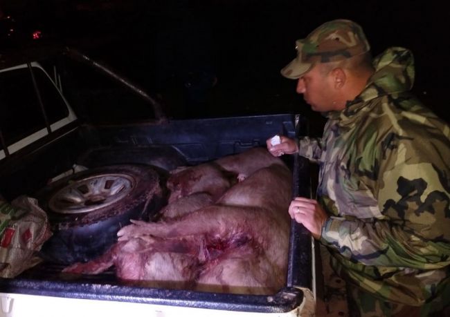 Detenidos por abigeato