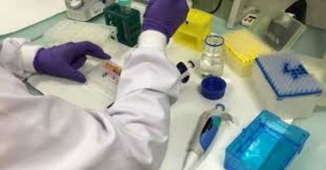 La tarea del Cuerpo de Investigaciones Fiscales