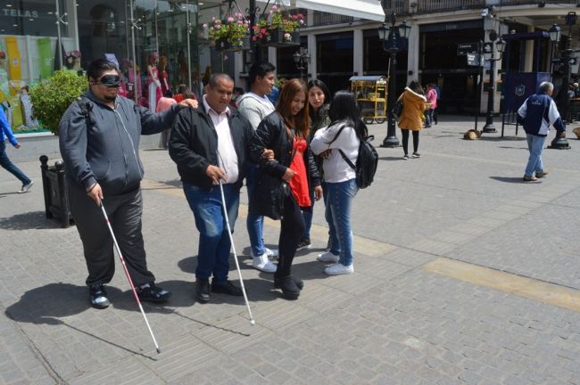 Jornada de bastón blanco