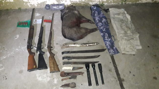 Elementos requisados