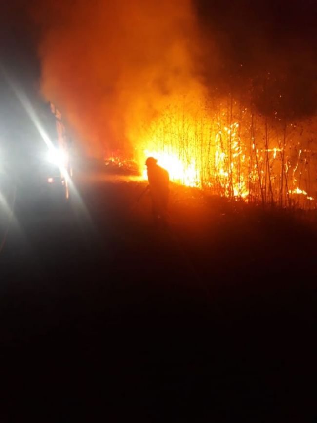 Incendio de pastizales