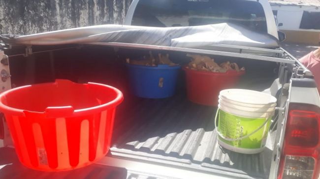 La mercadería se tornó en insalubre