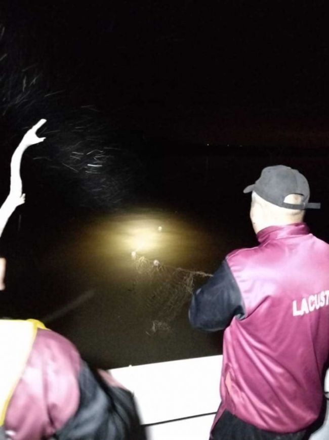 Procedimiento en el dique