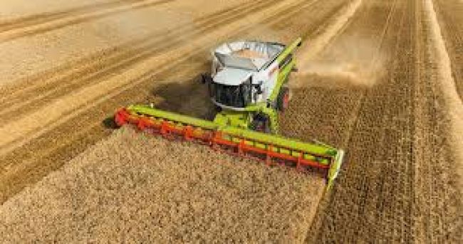 Eficiencia en el campo