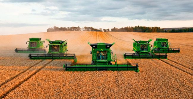 Lluvias complican las cosechas