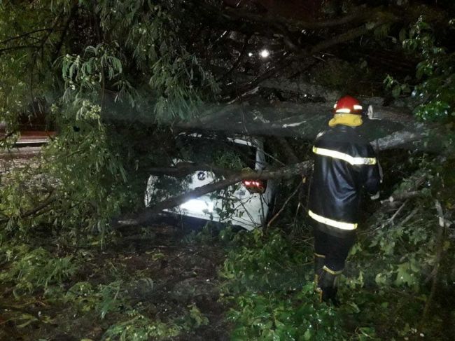 Asistencia a damnificados