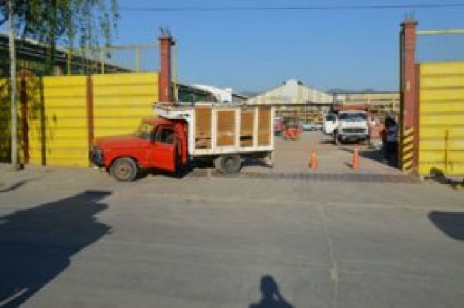 Fatal siniestro en la puerta de un corralón