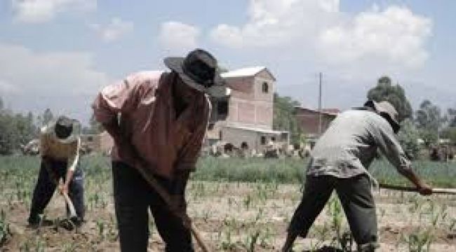 Pequeños productores rurales