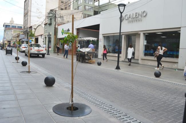 Protectores en el arbolado