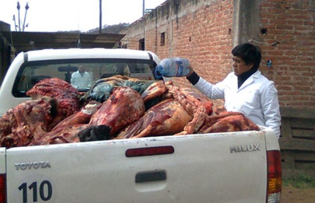 Decomiso de carne bovina