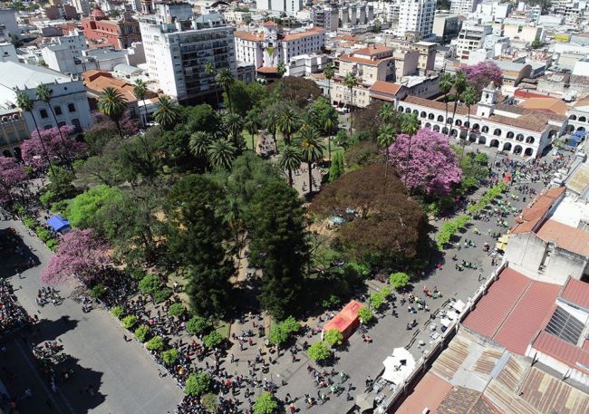 Censo forestal en la ciudad