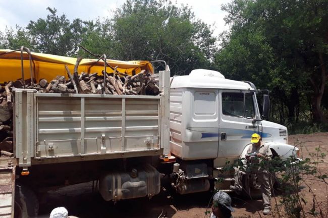 Leña para hogares de la puna