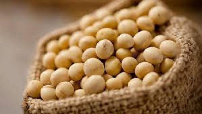 No al programa soja plus