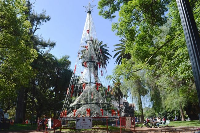 El árbol de plaza 9 de julio