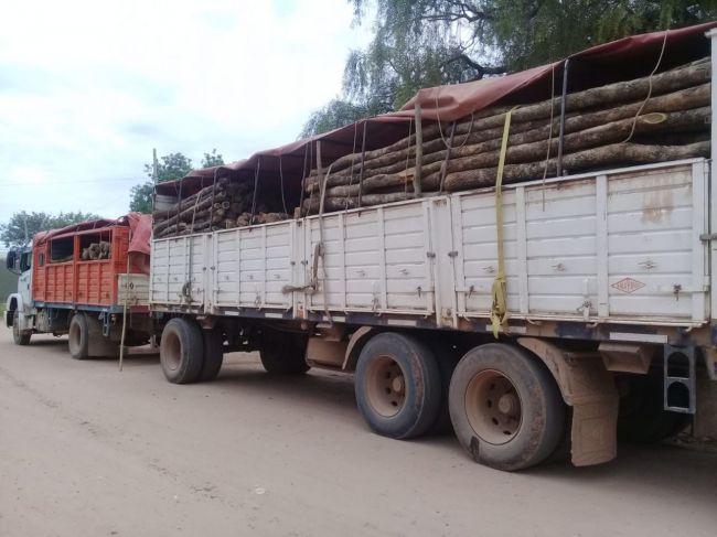 Secuestro de productos forestales