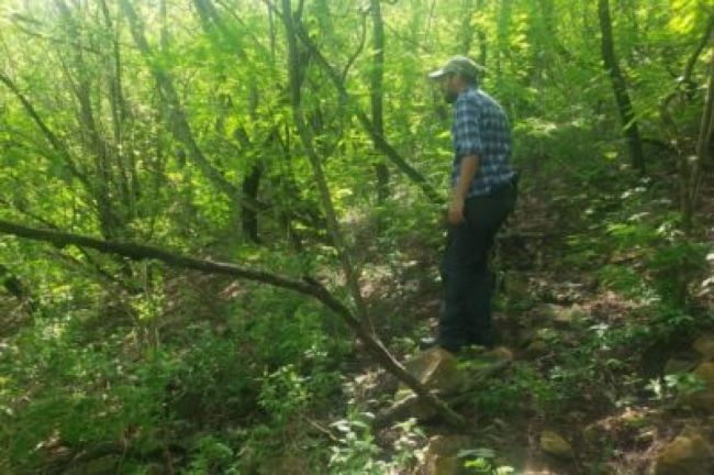 Rastrillaje en el cerro