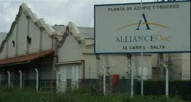 La Planta de Alliance One