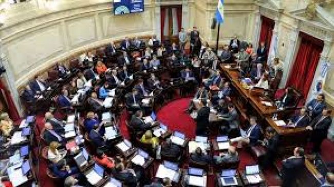 Fueron 20 horas de debate en el Senado