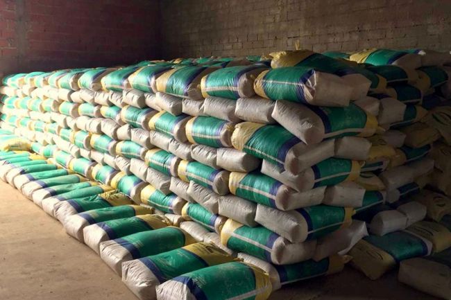 Maíz para el ganado