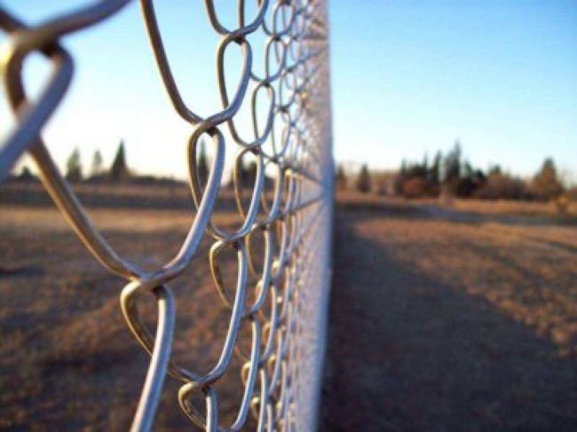 El mal viviente trepó por los alambrados