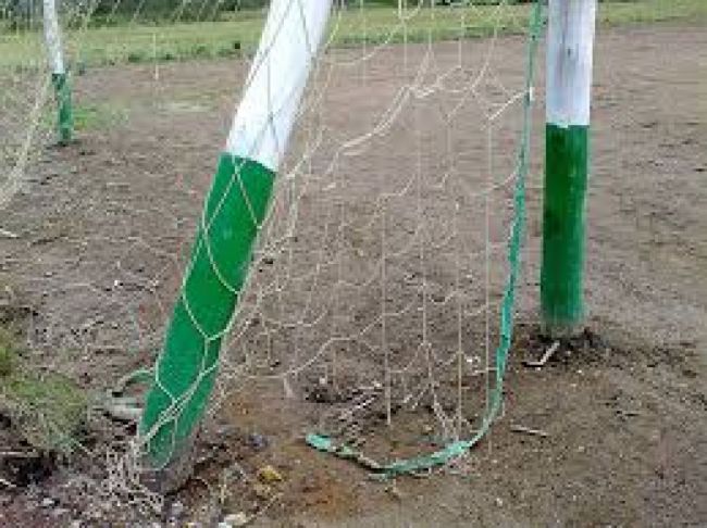 Suspensión de actividades en clubes