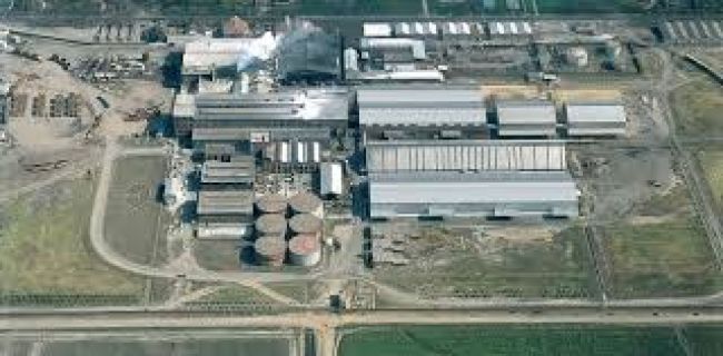 Agilizan trámites para volver a producir alcohol medicinal en Salta