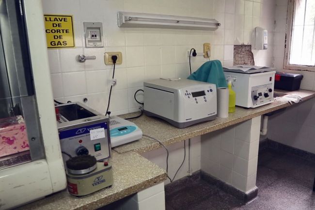 Siguen en tres los casos positivos de COVID_19