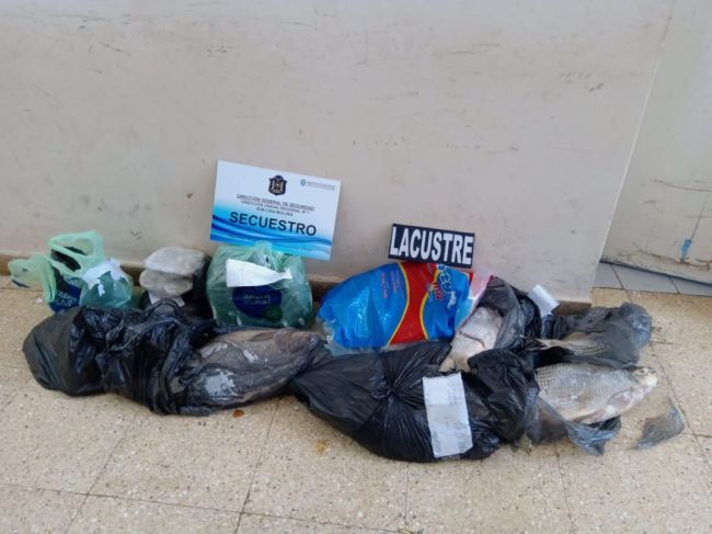 Operativo de policía  fluvial