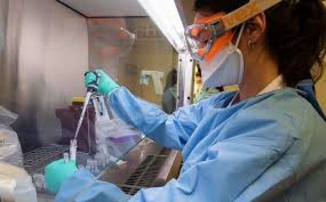 Reporte oficial del MSP