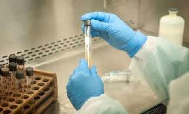 Sigue siendo estable la situación epidemiológica en Salta