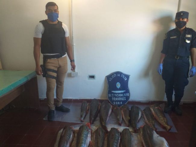 Depredadores de fauna ictícola