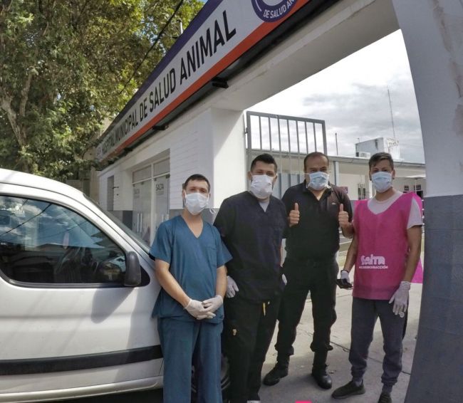 Hospital de mascotas