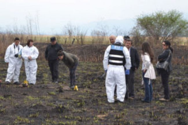 Peritos trabajan en el Salta Polo