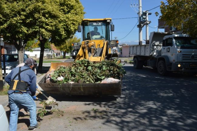 Operativo contra el dengue