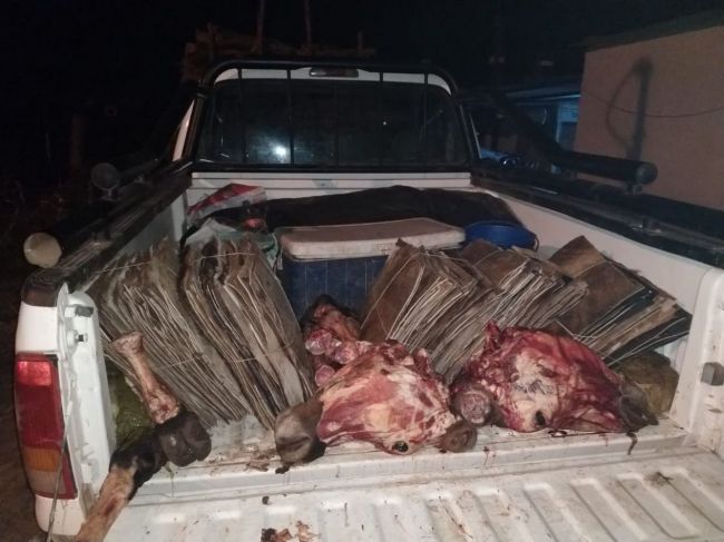 Decomiso de carne