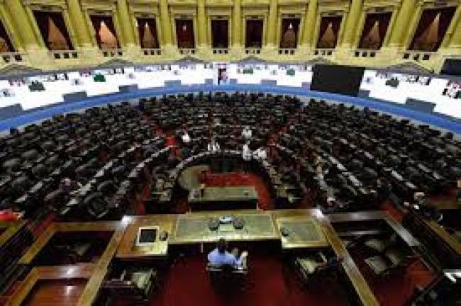 Nueva sesión virtual en Diputados