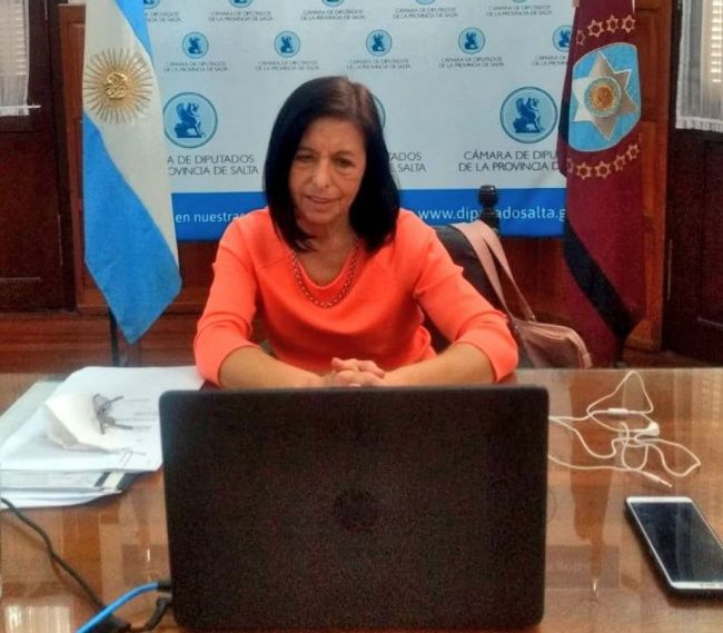 Nora Giménez sesionando online desde la Legislatura Provincial