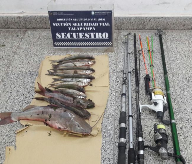 Secuestro de pescados y cañas