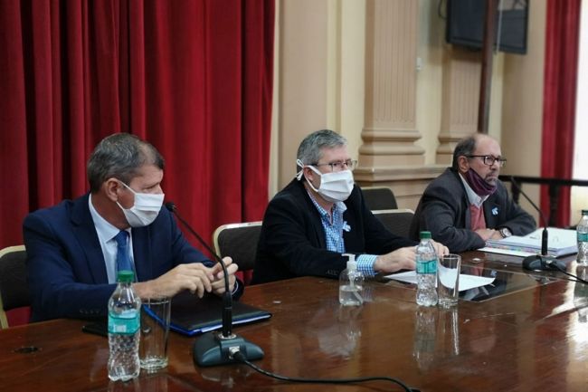 Pulleiro en Diputados