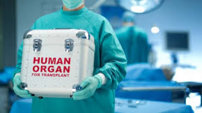 Donar órganos es donar vida