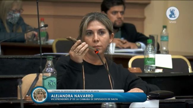 Los diputados de Orán participando por whatsapp