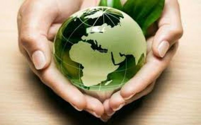 Día internacional del Medio Ambiente